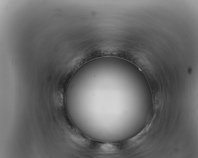 X0000090750183200707271453