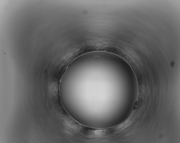 X0000090750184200707271453