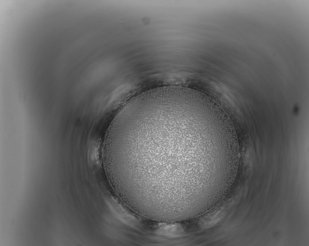 X0000090750185200707271453