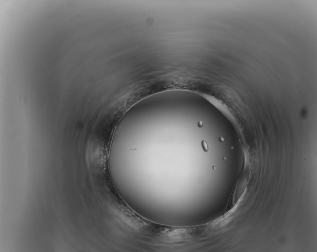 X0000090750186200707271453