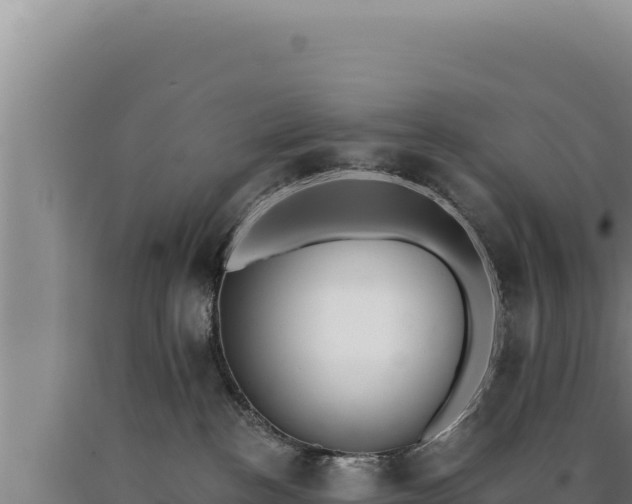 X0000090750188200707271453