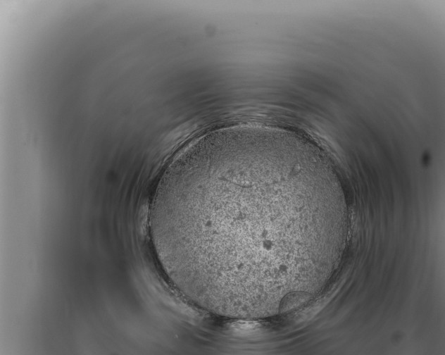 X0000090750189200707271453