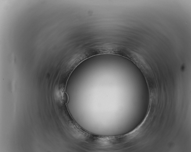 X0000090750190200707271453