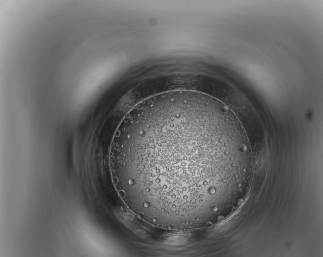 X0000090750191200707271453