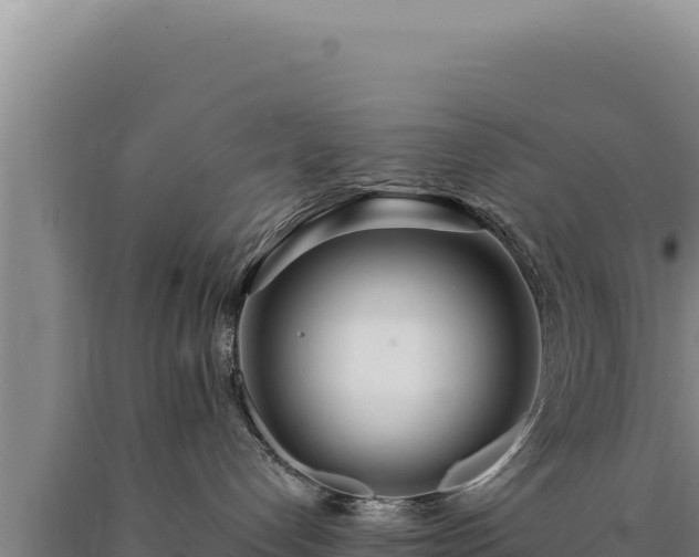 X0000090750192200707271453