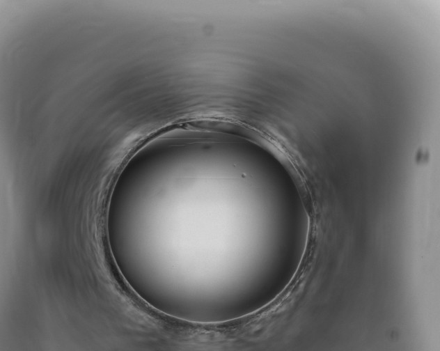 X0000090750193200707271452