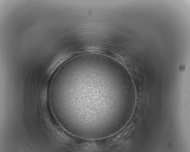 X0000090750194200707271452