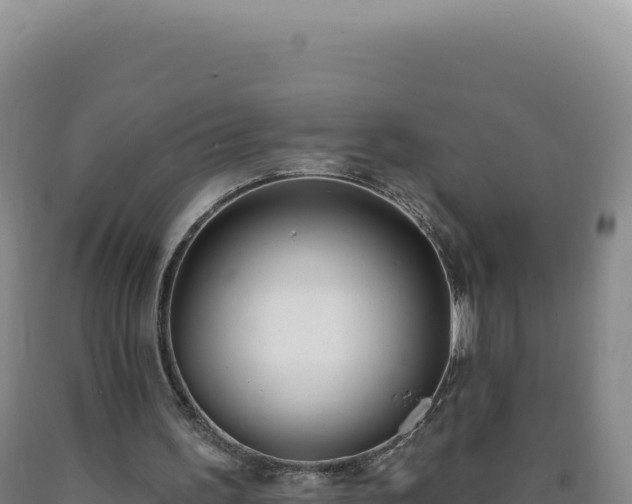 X0000090750195200707271452