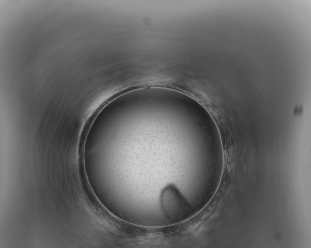 X0000090750196200707271452