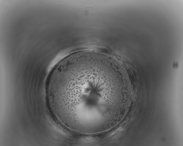 X0000090750198200707271452
