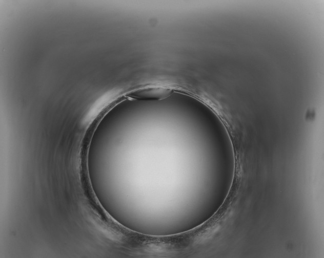 X0000090750199200707271452