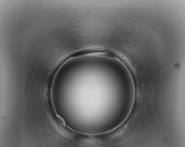 X0000090750201200707271452