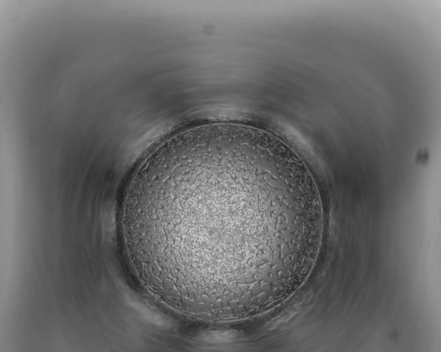 X0000090750202200707271452