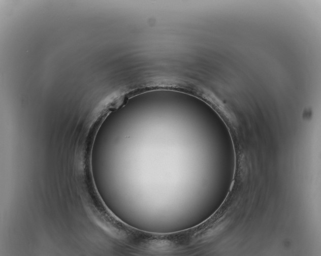 X0000090750203200707271452