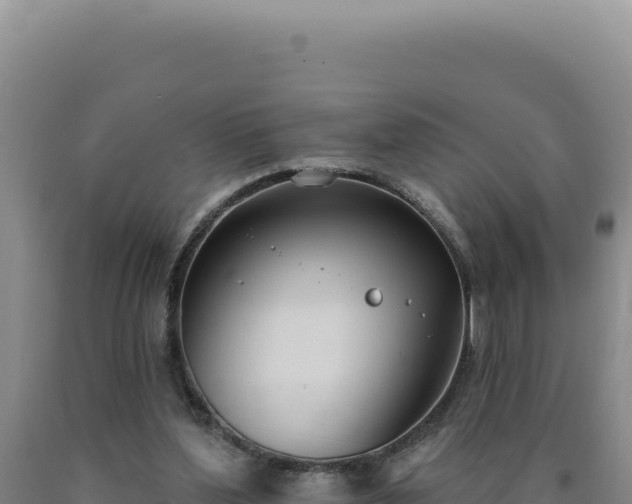 X0000090750204200707271452