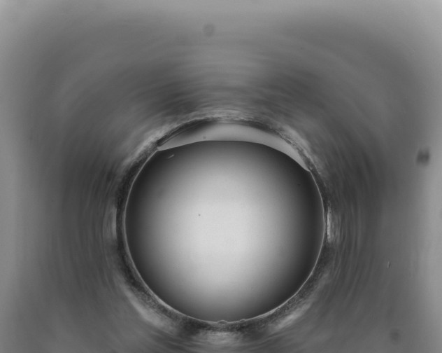 X0000090750205200707271452