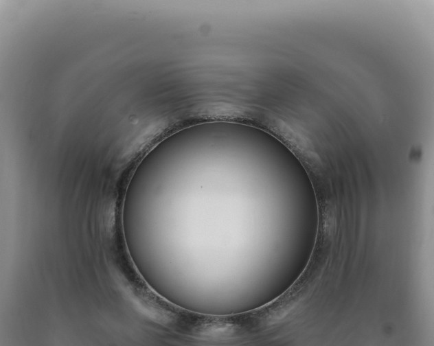 X0000090750206200707271452