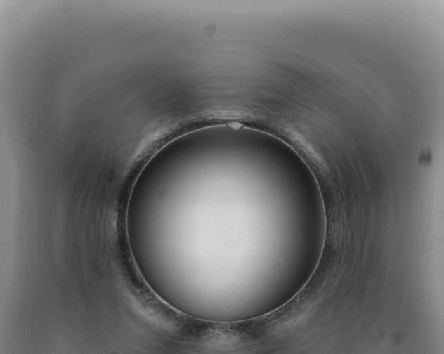 X0000090750207200707271452