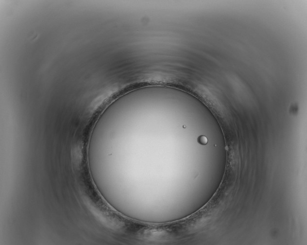 X0000090750208200707271452