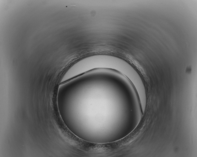 X0000090750209200707271452