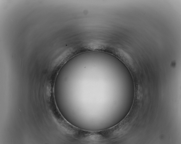 X0000090750210200707271452