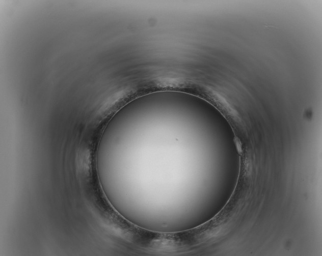 X0000090750211200707271452