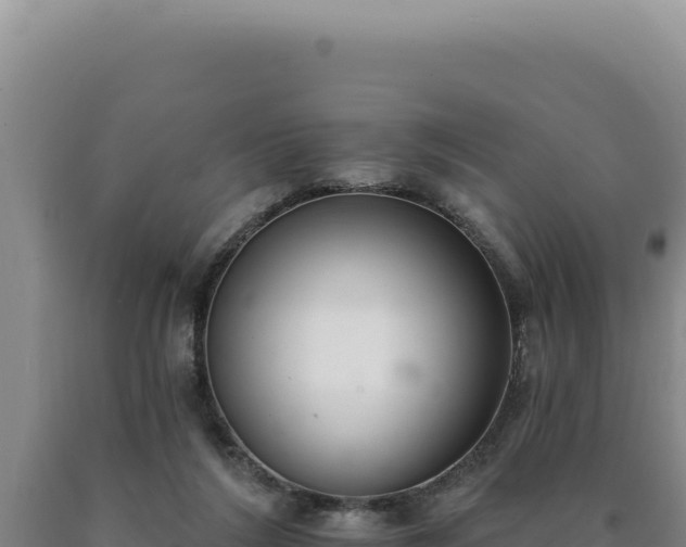 X0000090750212200707271452