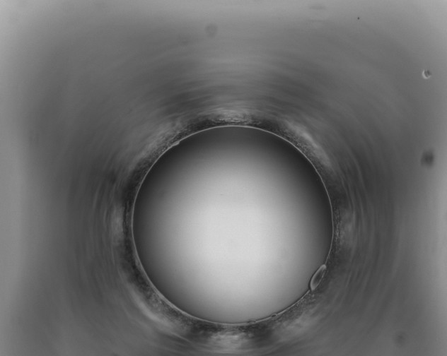 X0000090750213200707271452