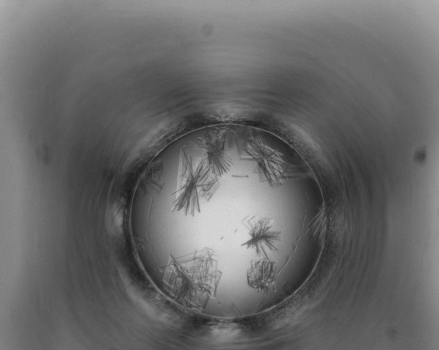 X0000090750214200707271452