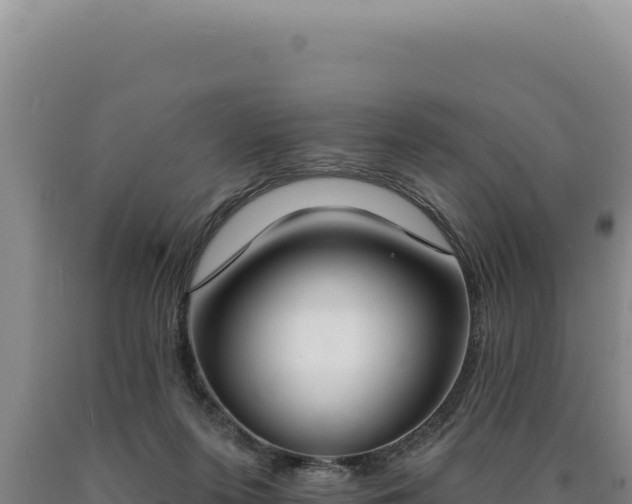 X0000090750215200707271452