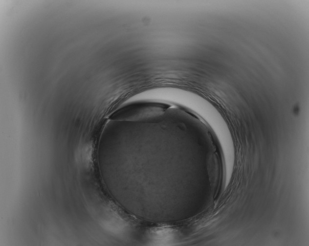 X0000090750219200707271452