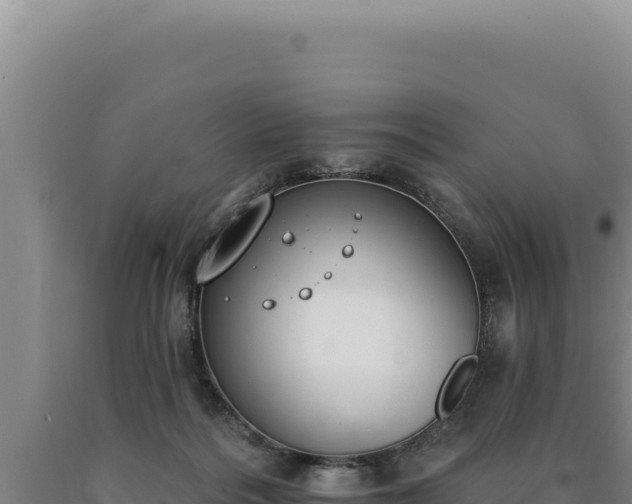 X0000090750220200707271452