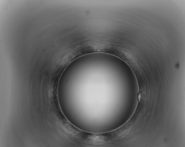 X0000090750221200707271452