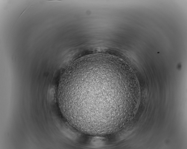 X0000090750222200707271452