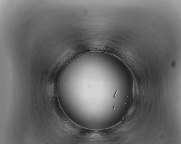 X0000090750224200707271452