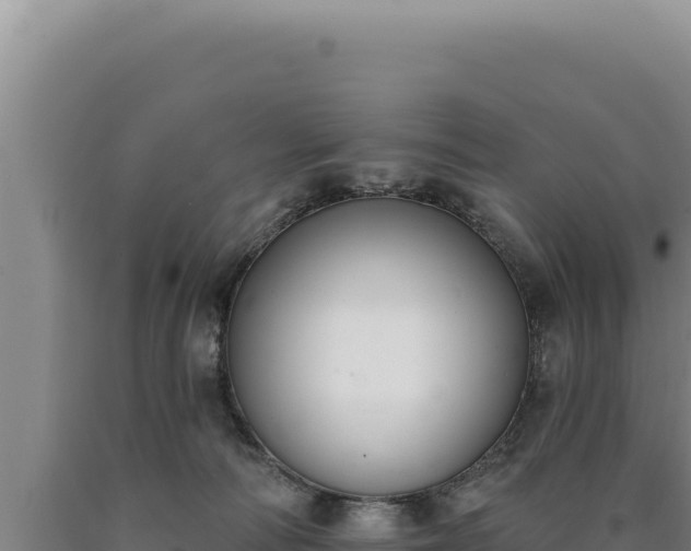 X0000090750226200707271452