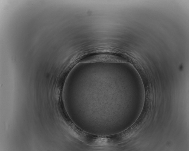 X0000090750227200707271452