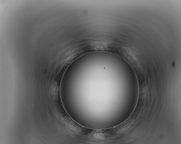 X0000090750228200707271452