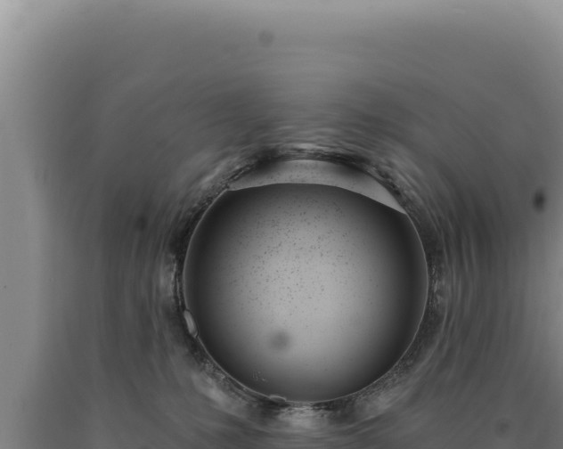 X0000090750231200707271452