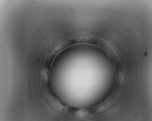 X0000090750232200707271452