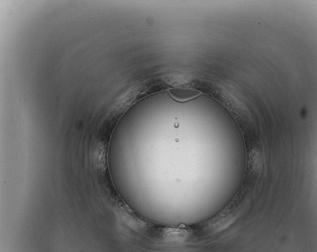 X0000090750234200707271452