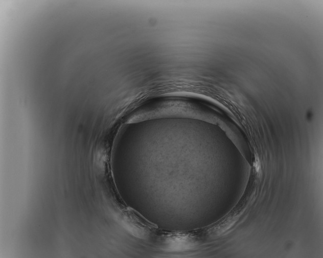 X0000090750235200707271452