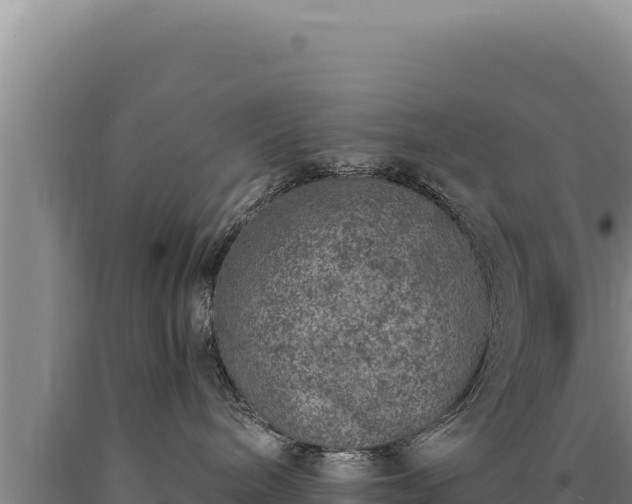 X0000090750240200707271452