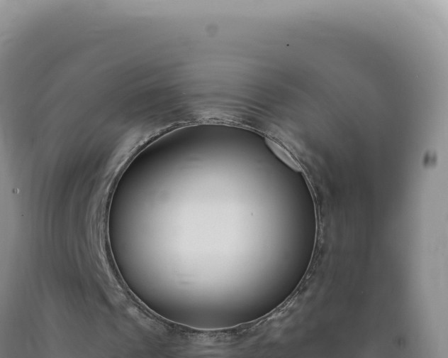 X0000090750241200707271451