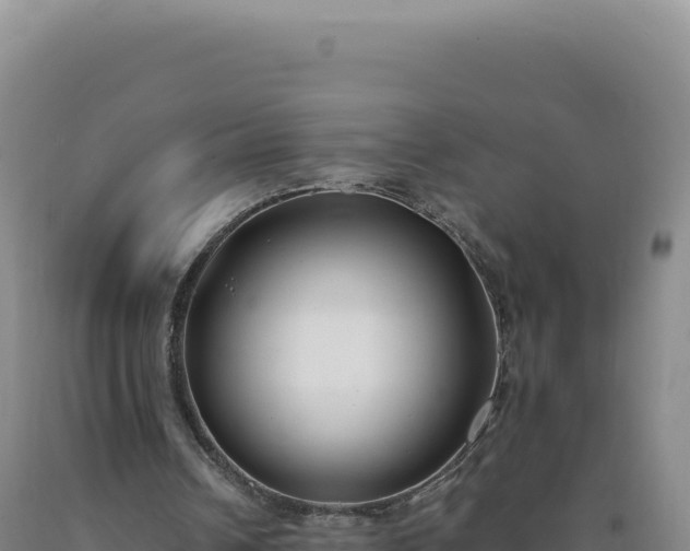 X0000090750242200707271451