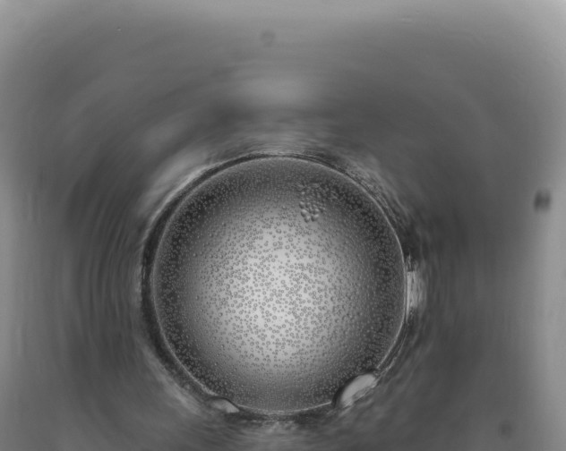 X0000090750243200707271451