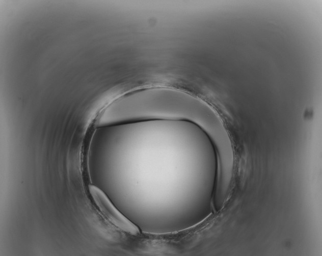 X0000090750244200707271451