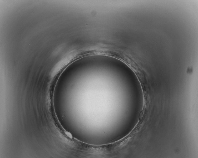 X0000090750245200707271451