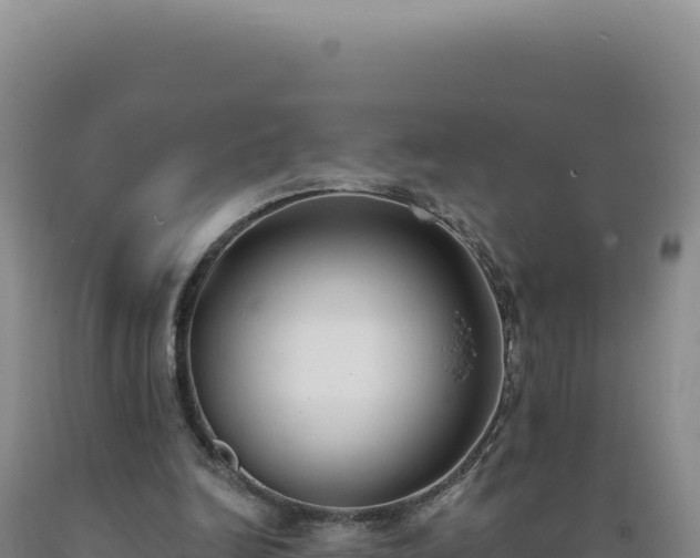 X0000090750246200707271451