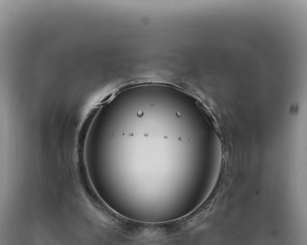 X0000090750248200707271451